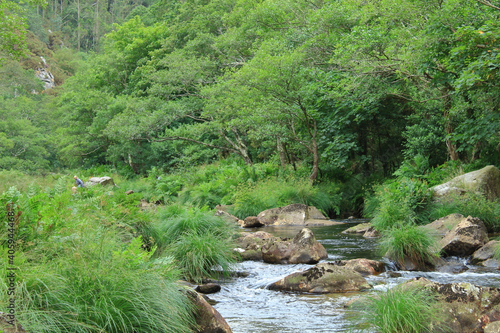 Rio de Galicia