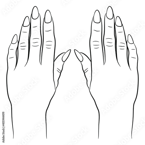 Two human female hands with long nails. Top view. Hand drawn linear sketch. Black silhouette on white background.