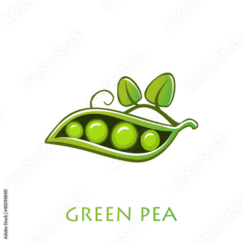 Green peas. Vector illustration cartoon flat icon isolated on white.
