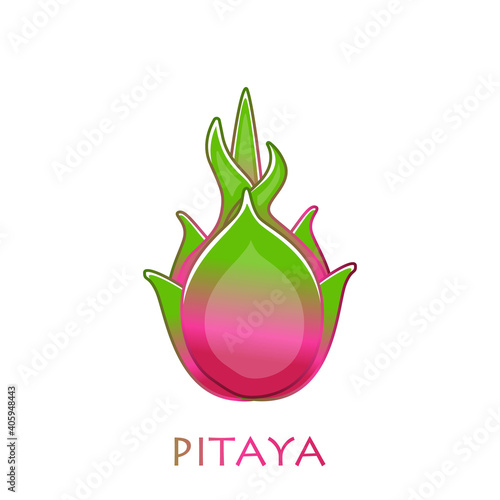 Cut pitaya icon. Dragon Fruit. Illustration with isolated cartoon pataya with title on a white background. Vector tropical fruit. Flat vector stock illustration. Pitaya logo. Pitaya in hand drawn