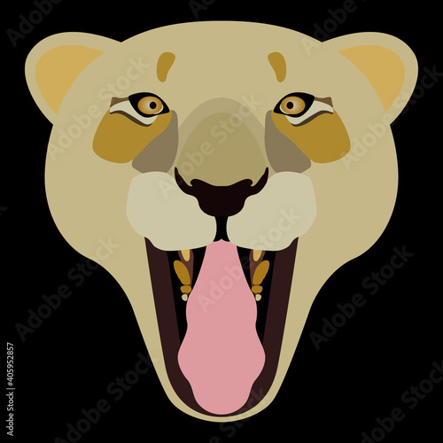Stylized face of a grinning lioness. Flat cartoon style. On black background. Head of female lion with open mouth and protruded out tongue.