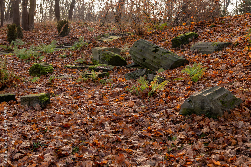 Obraz premium destroyed columns between fallen yellow leaves in autumn