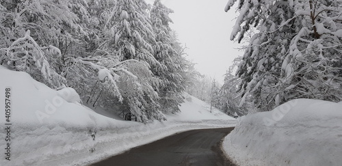 Neve al Monte Penice, Oltrepò Pavese, Lombardia photo
