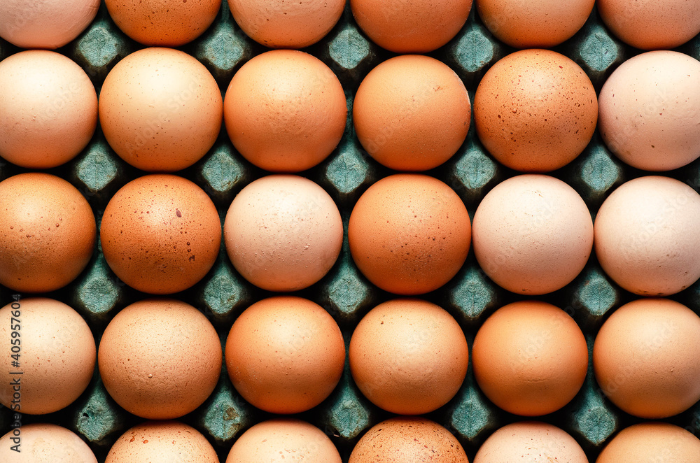 Raw chicken eggs in a turquoise egg box. Raw chicken eggs in a turquoise egg box.