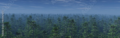 Forest in the haze top view  pine trees in the fog  3D rendering