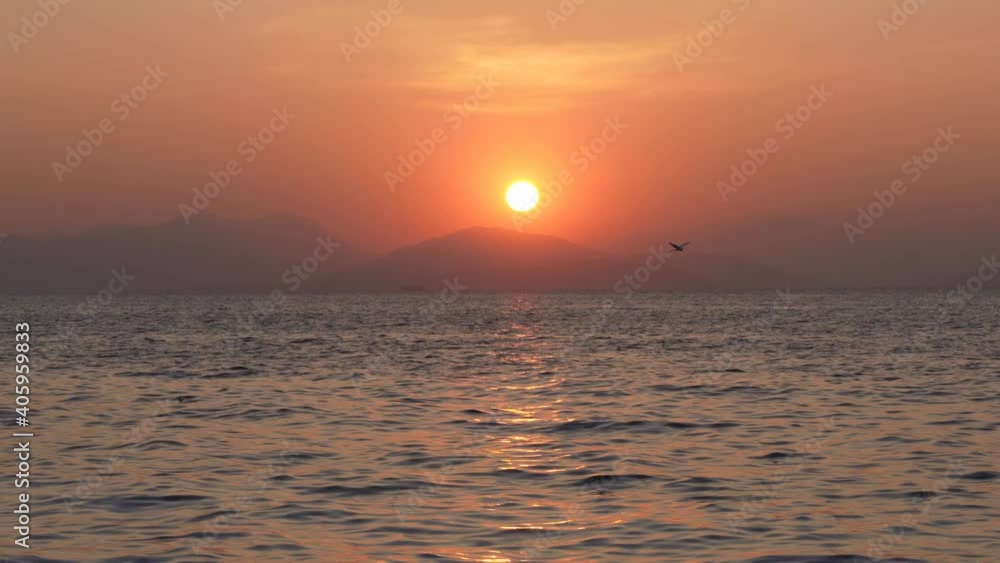 great egret fly low over sea at sunset. great egret fly low over sea at sunset.
