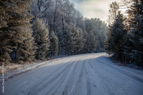 Snow covered road in a Wisconsin forest on a January morning