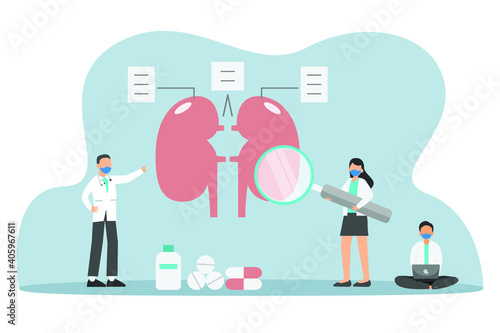 Studying on kidney 2D flat vector concept for banner, website, illustration, landing page, flyer, etc