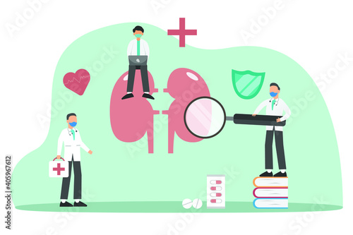 Studying on kidney 2D flat vector concept for banner, website, illustration, landing page, flyer, etc