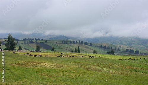 The fertile Andean highlands under Chimborazo, La Moya, Ecuador