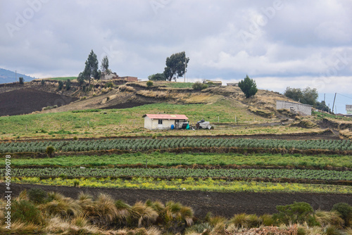 The fertile Andean highlands under Chimborazo, La Moya, Ecuador