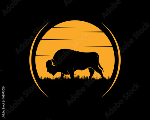 Bison in the sunset behind