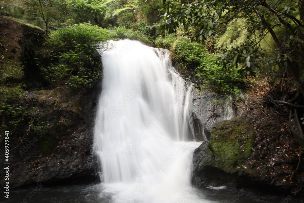 Waterfalls and Pristine Rivers in the Rincon de la Vieja National Park in Guanacaste in Costa Rica
Waterfalls and Pristine Rivers in the Rincon de la Vieja National Park in Guanacaste in Costa Rica