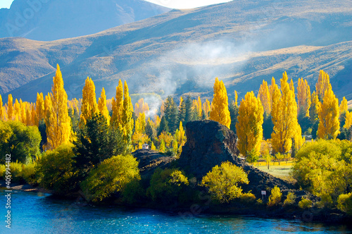 Poplar Trees - Patagonia - Argentina photo