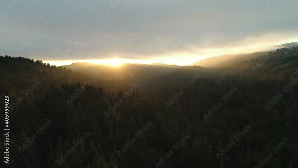 Aerial flying over a forest at sunset, beautiful golden sunlight with clouds above. Dark forest with wispy fog and mist. Shot in California redwoods. Aerial flying over a forest at sunset, beautiful golden sunlight with clouds above. Dark forest with wispy fog and mist. Shot in California redwoods.
