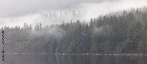 Low cloud and mist over forest by lake