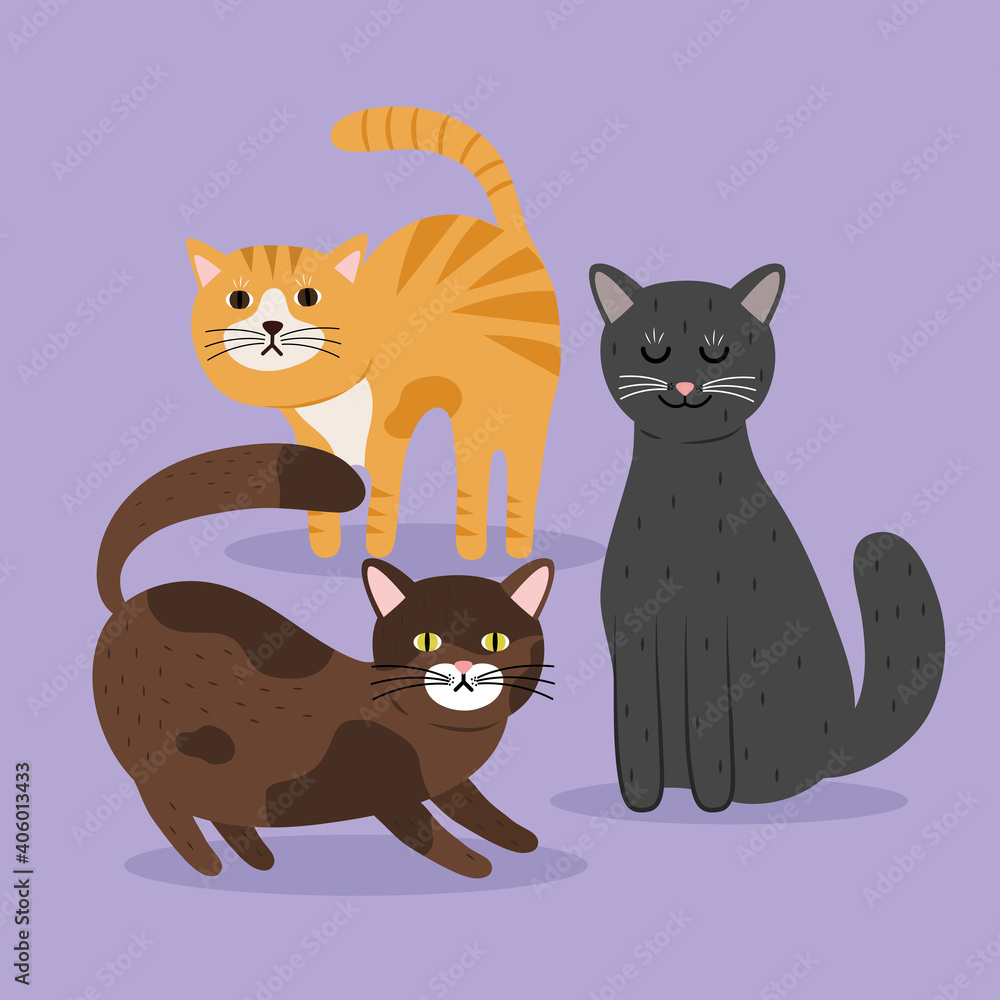 bundle of three cats differents colors mascots characters vector illustration design bundle of three cats differents colors mascots characters vector illustration design