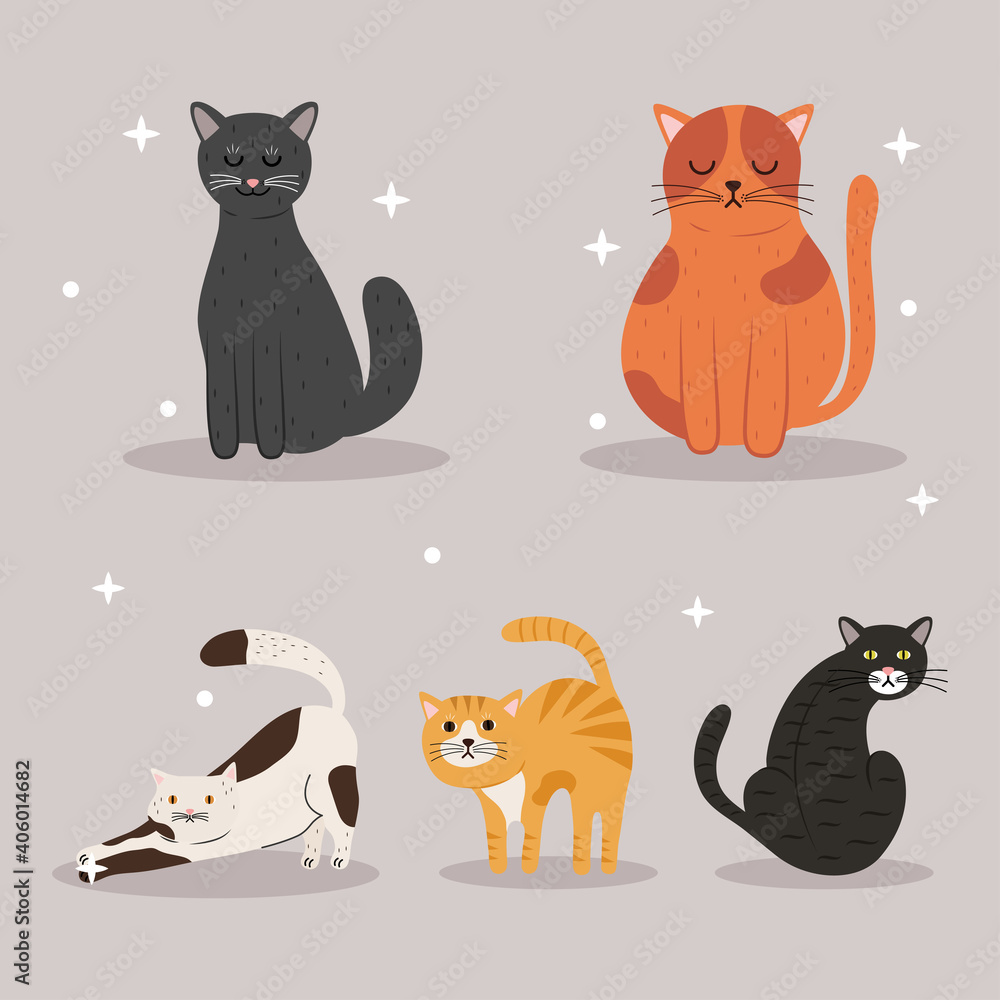 bundle of five cats differents colors mascots characters vector illustration design