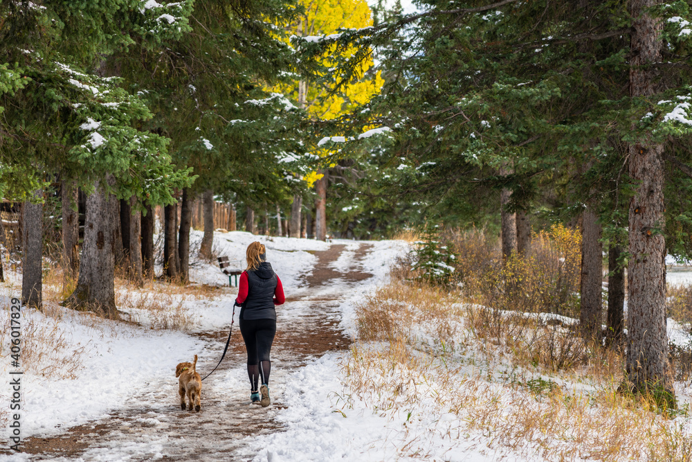 Fototapeta premium A woman jogging and walking the dog in the forest trail in a snowy autumn sunny day. 