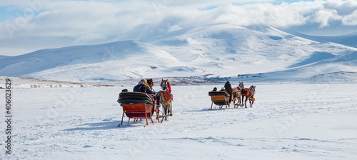 Canvastavla Horses pulling sleigh in winter - Cildir Lake, Kars
