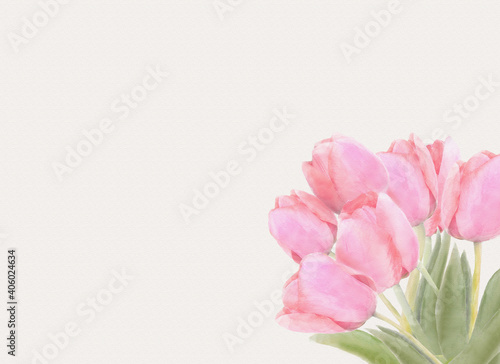 Fototapeta Naklejka Na Ścianę i Meble -  Watercolor hand drawn floral background for wedding, spring holidays, fabric, Valentine Day. Pink flowers tulips bouquet, light vintage design for print invitation, card, wrapping paper.
