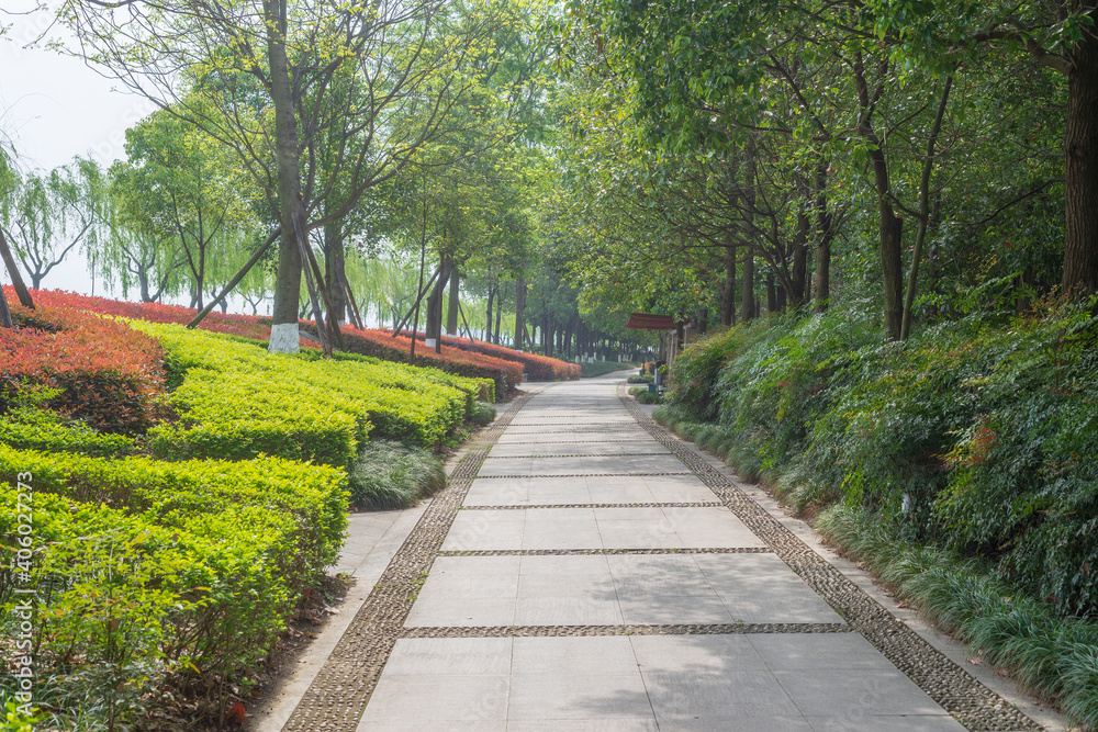 green park road in the spring