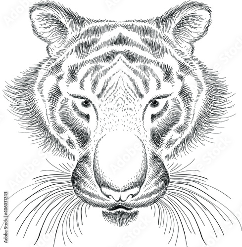 The Vector logo tiger for tattoo or T-shirt design or outwear.  Hunting style big cat print on black background. This hand drawing is for black fabric or canvas.