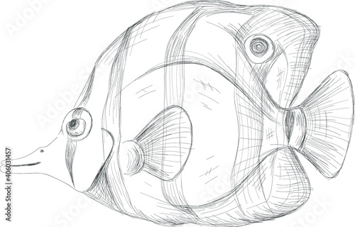 The Vector logo fish on black cloth for T-shirt print  design or outwear.  Fishing style grouper  background. This drawing would be nice to make on the black fabric or canvas.