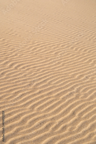 Sand texture waves close up. Wavy background pattern of sandy beach. 