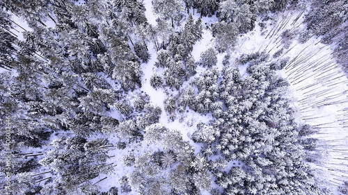 Landscape of nature in a snowy forest, aero photo, top view of a forest in winter