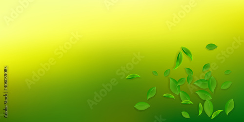 Falling green leaves. Fresh tea chaotic leaves flying. Spring foliage dancing on white background. Alluring summer overlay template. Wondrous spring sale vector illustration.