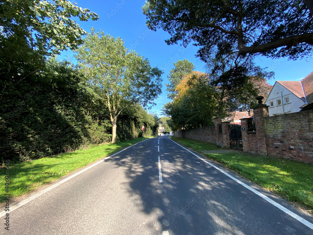 Looking along, Stang Lane, with trees, and houses, on a hot summers day in, Farnham, Harrogate, UK Looking along, Stang Lane, with trees, and houses, on a hot summers day in, Farnham, Harrogate, UK