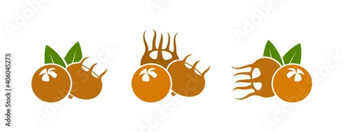 Medlar logo. Isolated medlar on white background photo