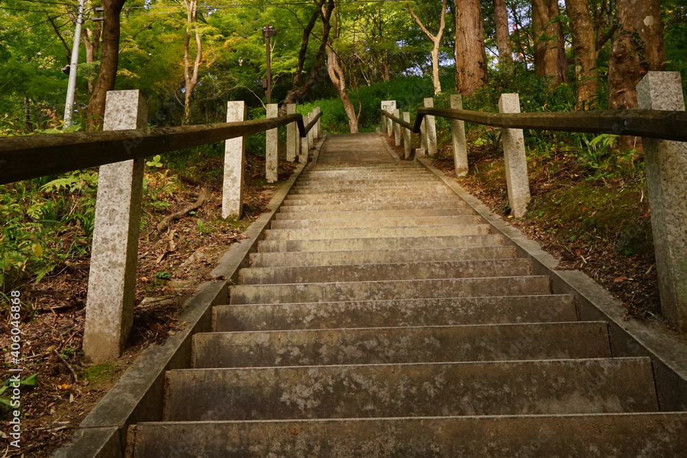 森の中の階段