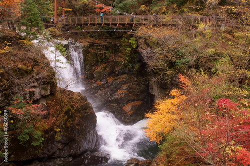 фотографія 御手洗（みたらい）渓谷　奈良県　吉野郡　天川村  mitarai,japan,nara,yoshino,tenkawa
