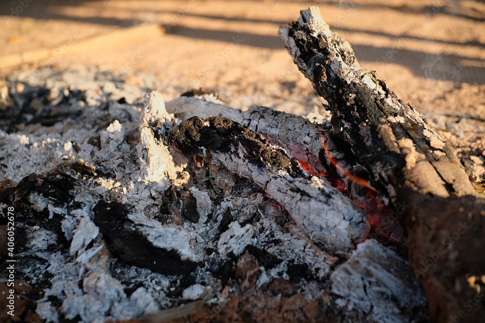 The bonfire is burning firewood The bonfire is burning firewood
