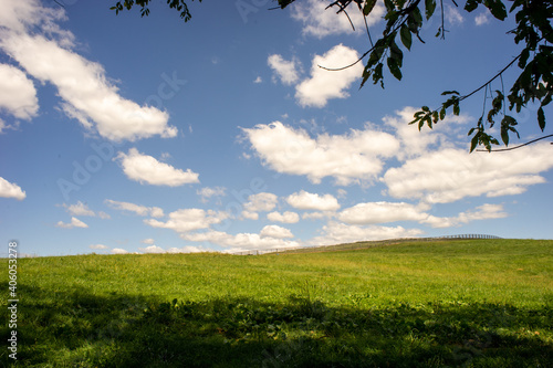 field and blue sky