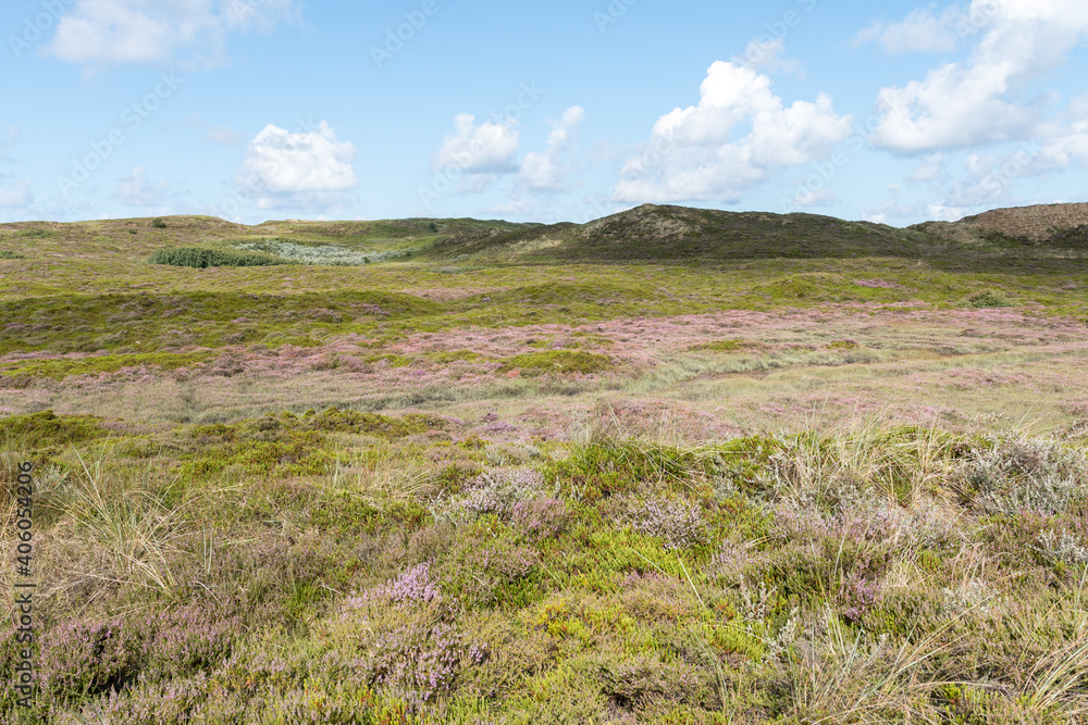 Landschaft auf Sylt