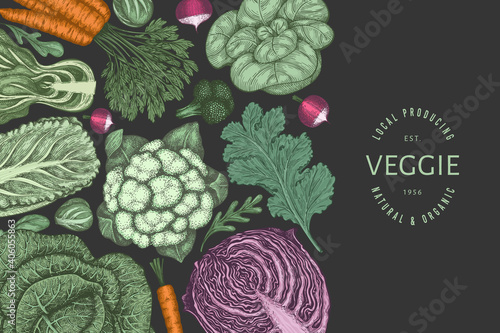 Hand drawn vintage color vegetables design. Organic fresh food vector banner template. Retro vegetable background. Traditional botanical illustrations.