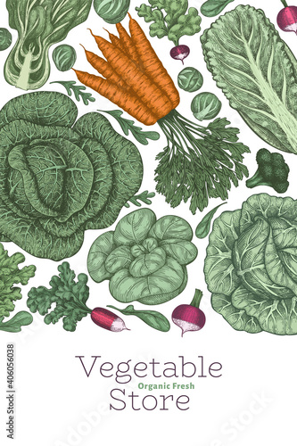 Hand drawn vintage color vegetables design. Organic fresh food vector banner template. Retro vegetable background. Traditional botanical illustrations.