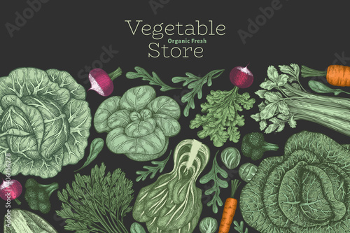 Hand drawn vintage color vegetables design. Organic fresh food vector banner template. Retro vegetable background. Traditional botanical illustrations.