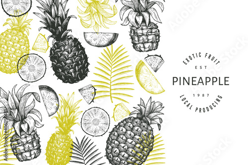 Hand drawn sketch style pineapple banner. Organic fresh fruit vector illustration. Engraved style botanical design template.