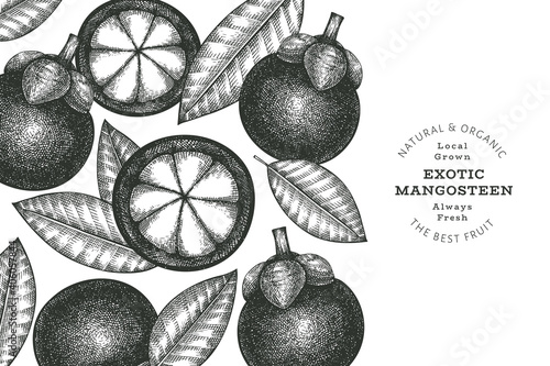 Hand drawn sketch style mangosteen design template. Organic fresh food vector illustration on white background. Retro fruit banner.