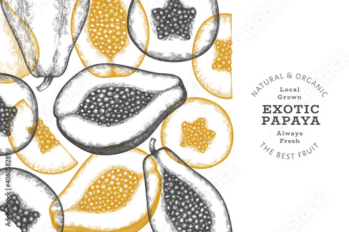Hand drawn sketch style papaya banner. Organic fresh fruit vector illustration. Retro fruit design template