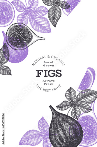 Hand drawn fig fruits design template. Organic fresh food vector illustration. Retro fig fruit banner.