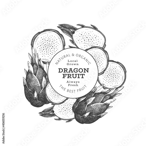 Hand drawn dragon fruit design template. Organic fresh food vector illustration. Retro pitaya fruit banner.