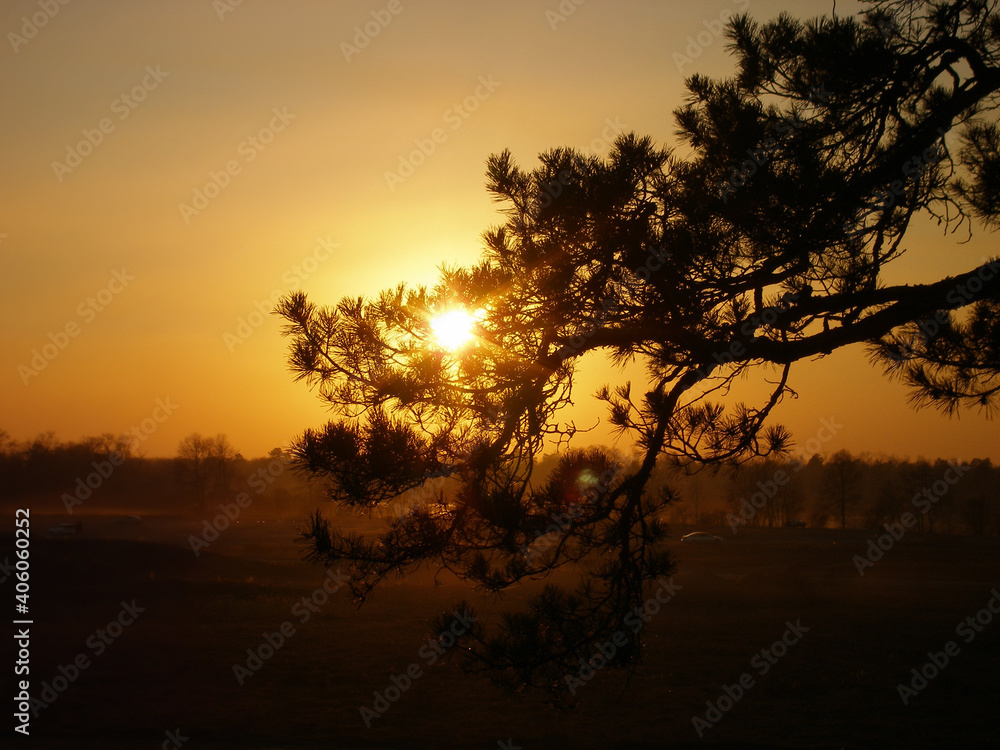 Sunset in the hills with branches in the foreground against the light, calming nature background Sunset in the hills with branches in the foreground against the light, calming nature background