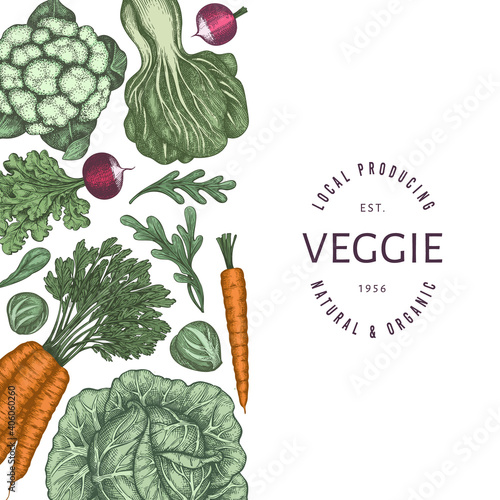 Hand drawn vintage color vegetables design. Organic fresh food vector banner template. Retro vegetable background. Traditional botanical illustrations.