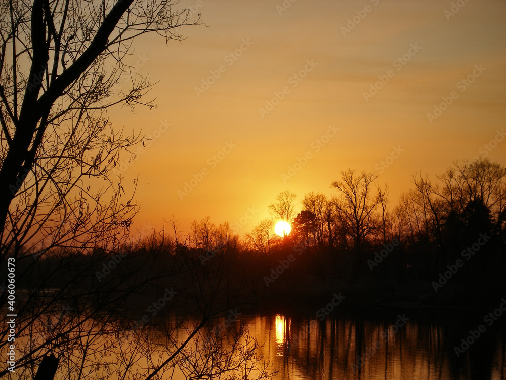 Evening in the forest. spring bare trees and sunset sun over water. Countryside landscape Evening in the forest. spring bare trees and sunset sun over water. Countryside landscape