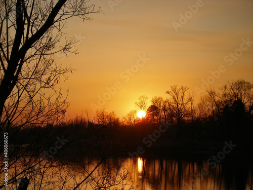 Evening in the forest. spring bare trees and sunset sun over water. Countryside landscape